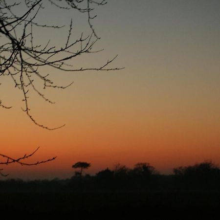 Gite Le Coucher De Soleil Plessé Buitenkant foto