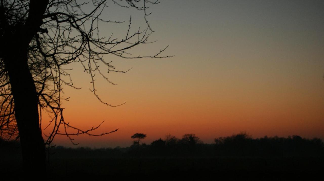 Gite Le Coucher De Soleil Plessé Buitenkant foto
